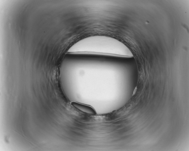X0000094200233200710260919