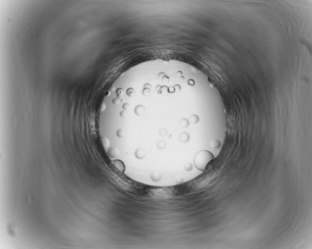 X0000094200238200710260918