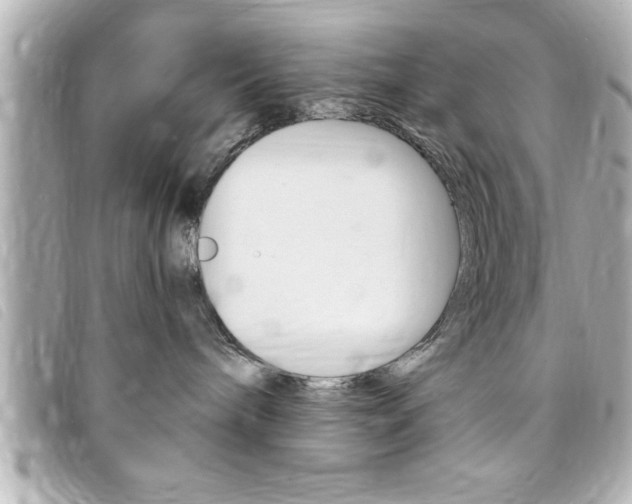 X0000094200240200710260918