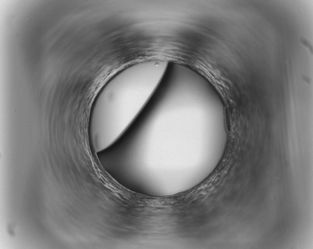 X0000094200241200710260918