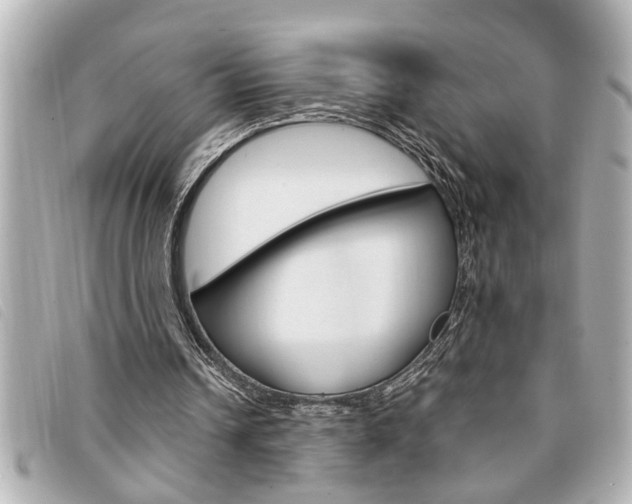 X0000094200242200710260918