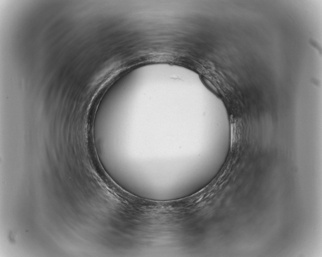 X0000094200243200710260918