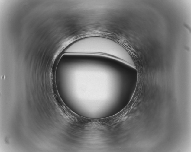 X0000094200244200710260918