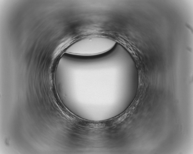 X0000094200245200710260918