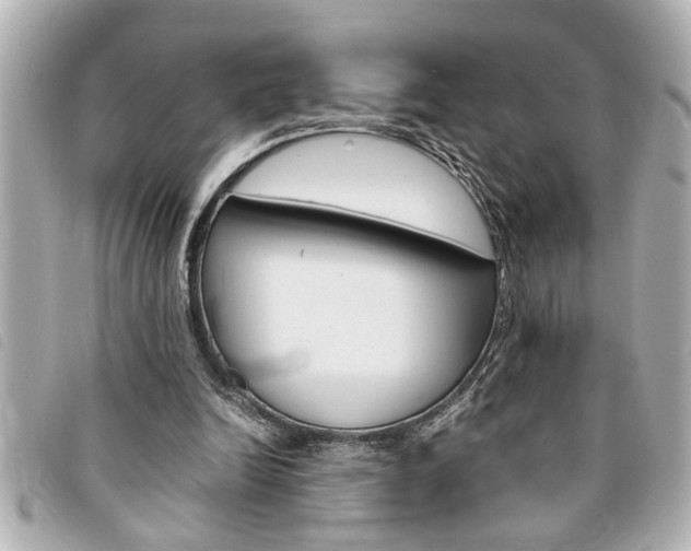 X0000094200246200710260918