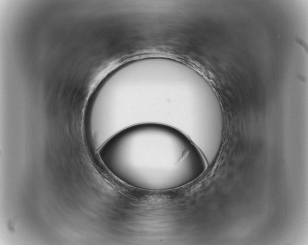 X0000094200248200710260918