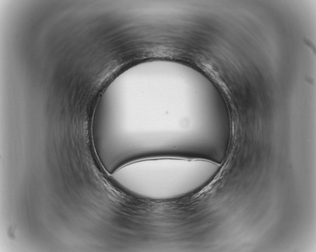 X0000094200249200710260918
