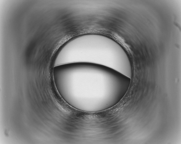 X0000094200250200710260918