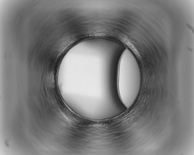X0000094200251200710260918