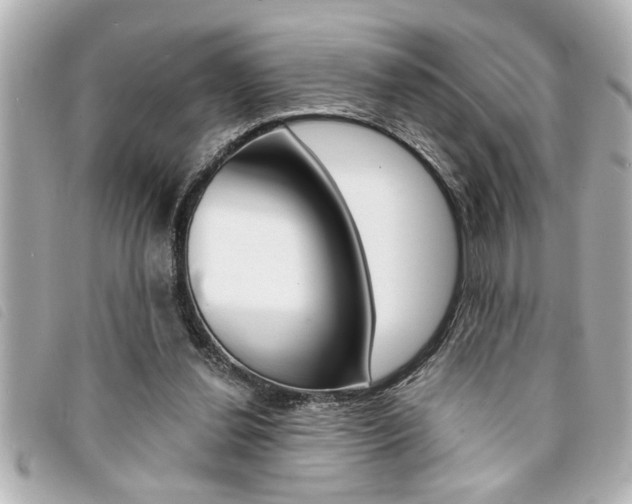 X0000094200252200710260918
