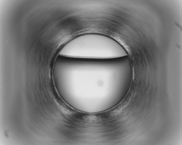 X0000094200253200710260918