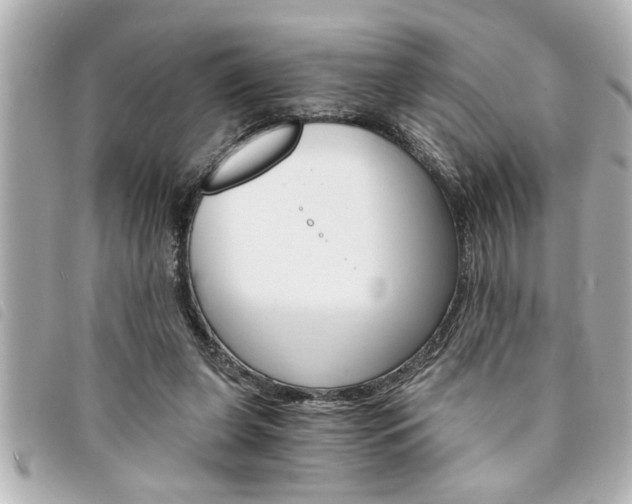X0000094200255200710260918