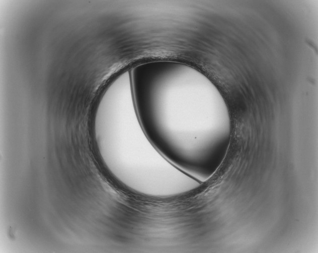 X0000094200256200710260918