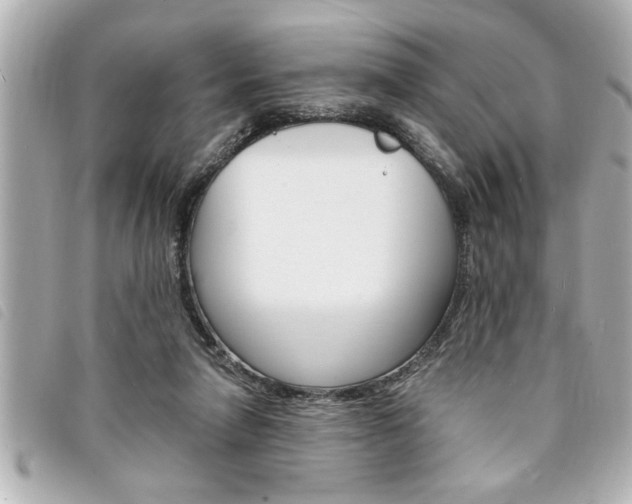 X0000094200258200710260918