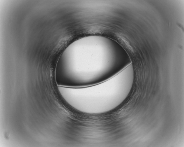 X0000094200260200710260918