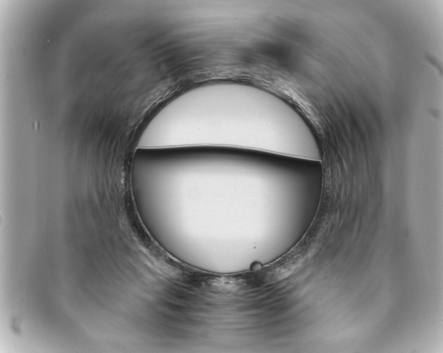 X0000094200261200710260918