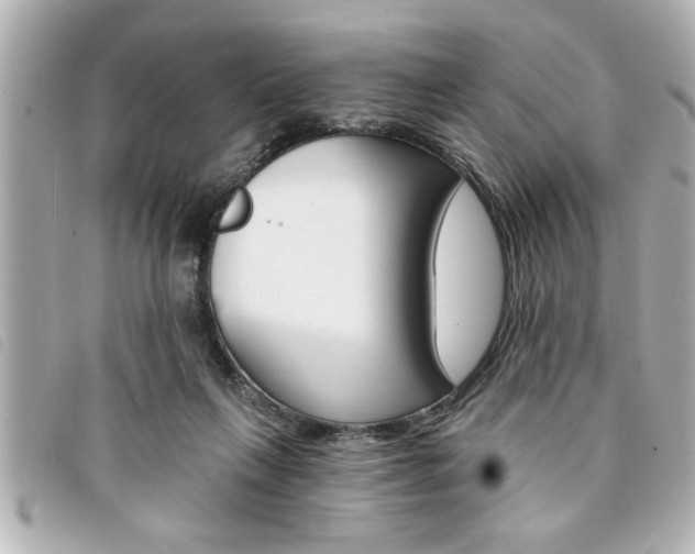 X0000094200263200710260918
