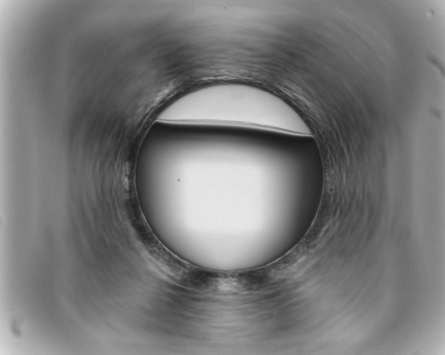 X0000094200264200710260918