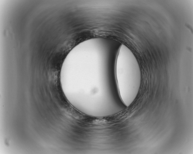 X0000094200271200710260918