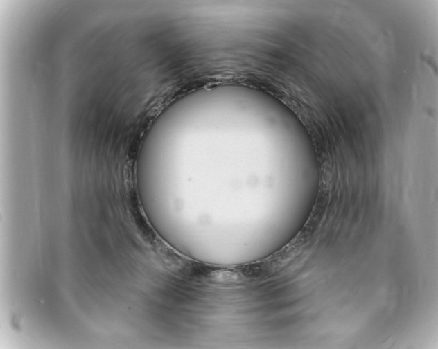 X0000094200272200710260918