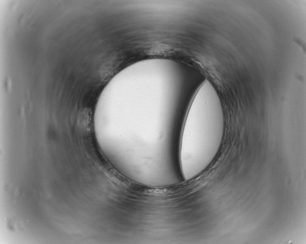 X0000094200273200710260918