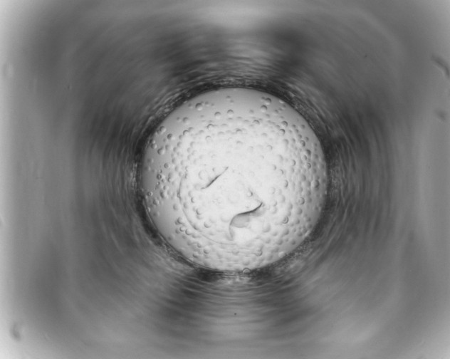 X0000094200278200710260918