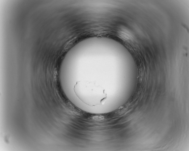 X0000094200279200710260918