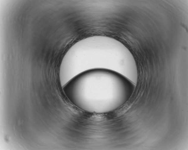 X0000094200280200710260918