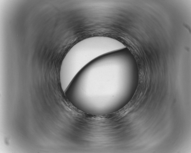 X0000094200284200710260918