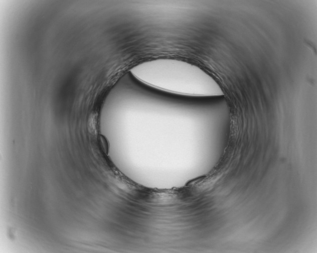 X0000094200286200710260918
