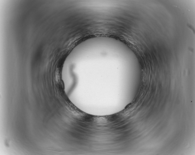 X0000094200287200710260918