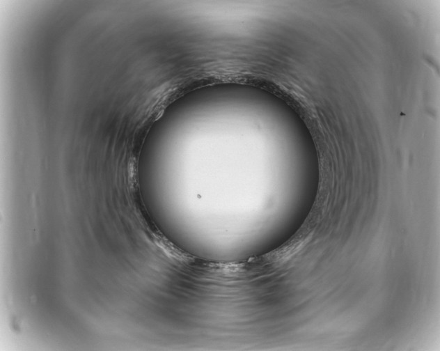 X0000094200288200710260918