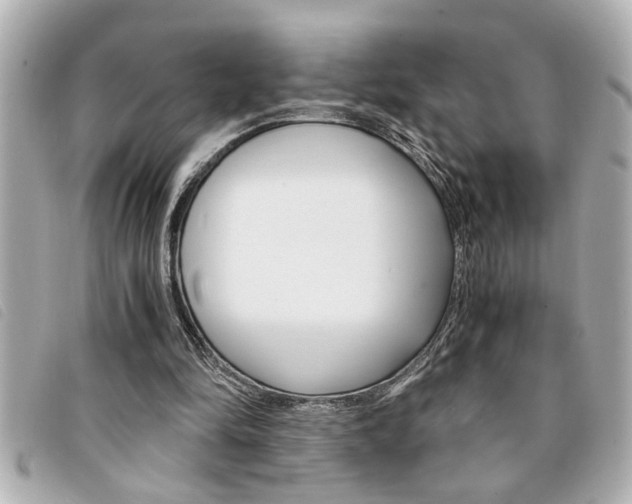 X0000094200294200710260918