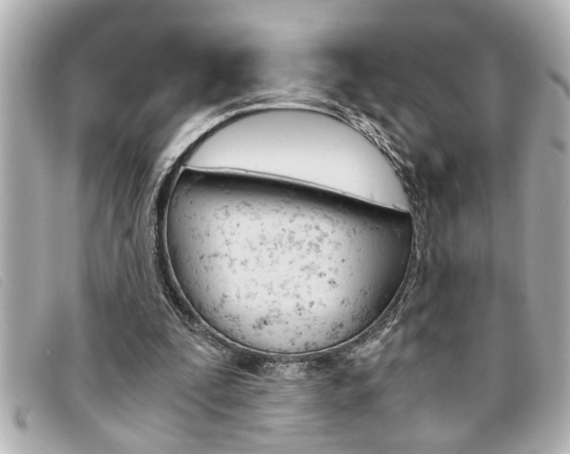 X0000094200295200710260918
