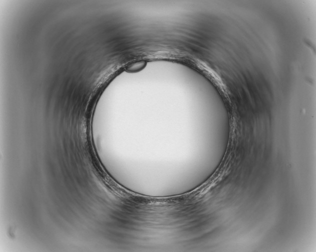 X0000094200298200710260918