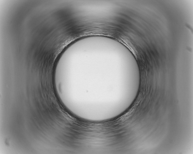 X0000094200301200710260918