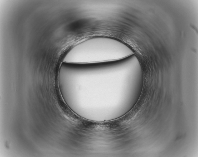 X0000094200303200710260918
