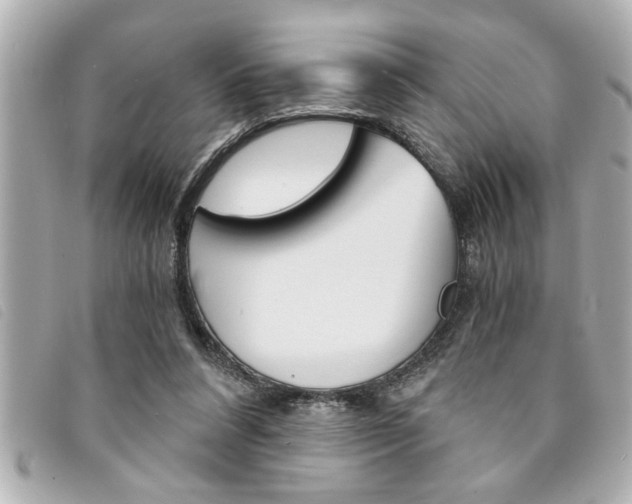 X0000094200304200710260918