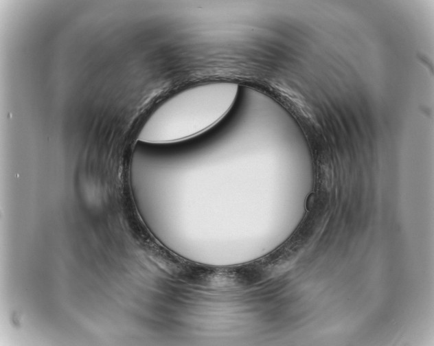 X0000094200308200710260918