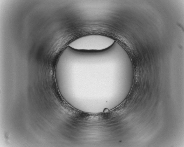 X0000094200314200710260918