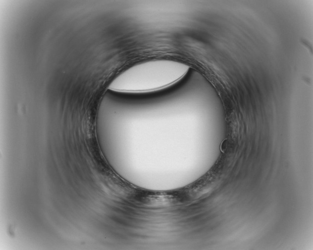 X0000094200316200710260918