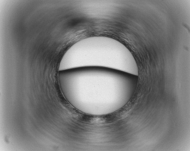 X0000094200319200710260918
