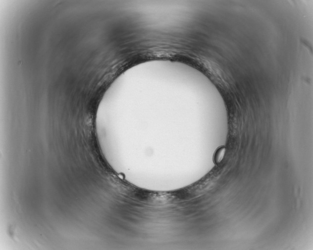 X0000094200321200710260917