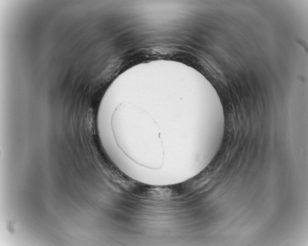 X0000094200328200710260917