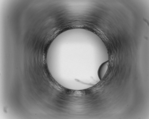 X0000094200330200710260917