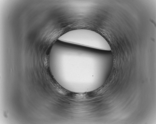 X0000094200335200710260917