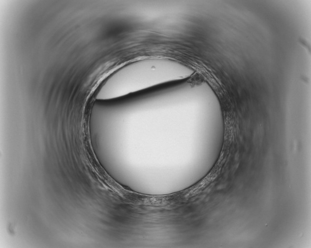 X0000094200338200710260917