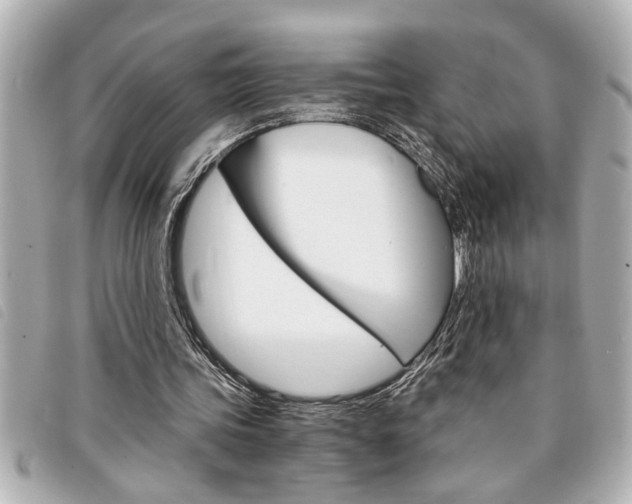 X0000094200339200710260917