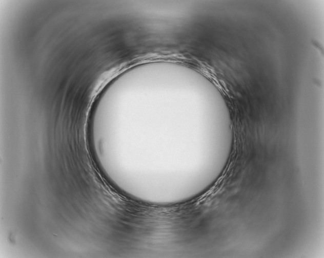 X0000094200340200710260917