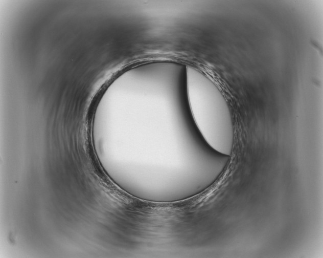 X0000094200342200710260917